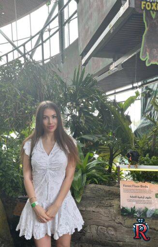 34b6df8d-56c1-4ce1-bdcd-29d812935dc6