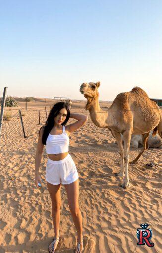 81d4235a-3be2-4b86-8e8e-0cbb706e72cf